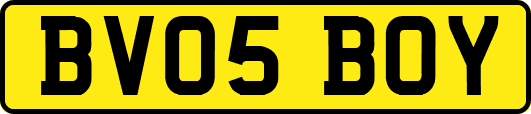 BV05BOY