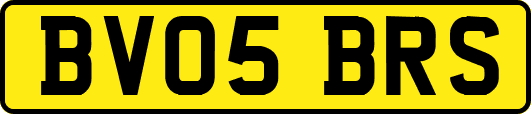 BV05BRS