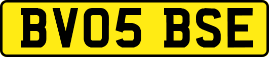 BV05BSE