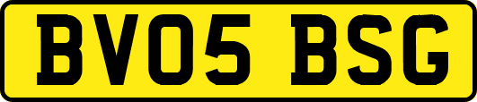 BV05BSG