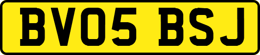 BV05BSJ