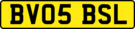 BV05BSL