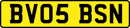 BV05BSN