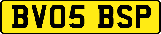 BV05BSP