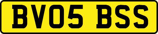 BV05BSS