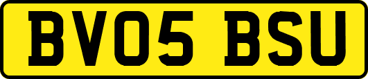 BV05BSU