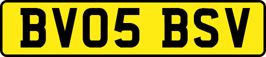 BV05BSV