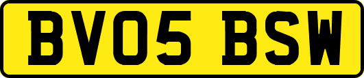 BV05BSW