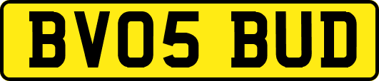 BV05BUD