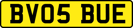 BV05BUE