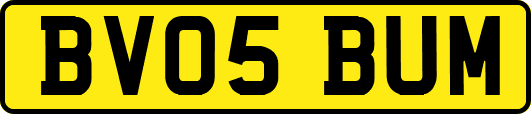 BV05BUM