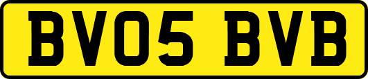 BV05BVB