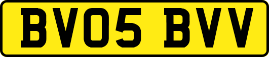 BV05BVV