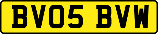 BV05BVW