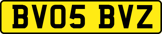 BV05BVZ