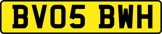 BV05BWH