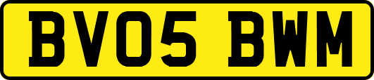 BV05BWM