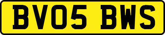 BV05BWS