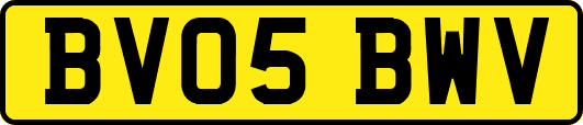 BV05BWV