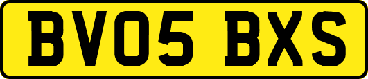 BV05BXS