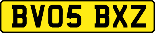 BV05BXZ