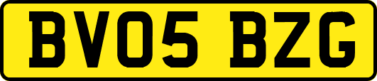 BV05BZG