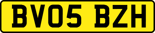 BV05BZH