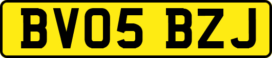 BV05BZJ