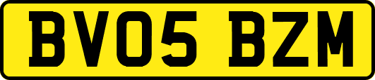 BV05BZM