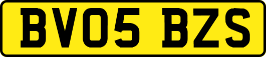 BV05BZS
