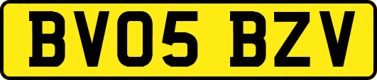 BV05BZV