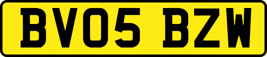 BV05BZW