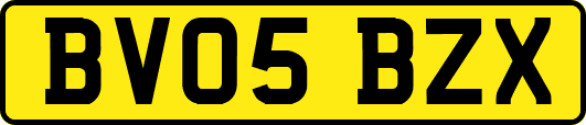 BV05BZX