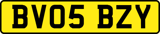 BV05BZY