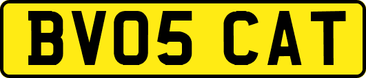 BV05CAT