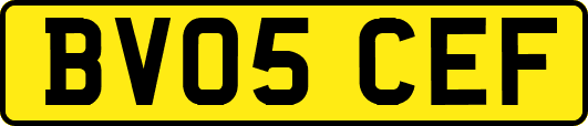 BV05CEF