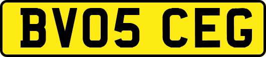 BV05CEG