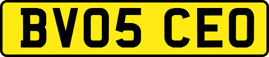 BV05CEO