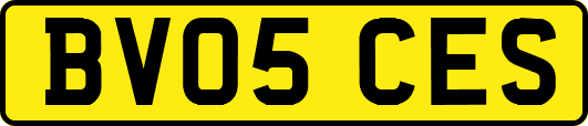 BV05CES