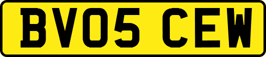 BV05CEW