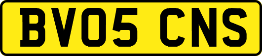BV05CNS