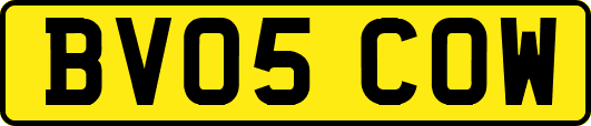 BV05COW