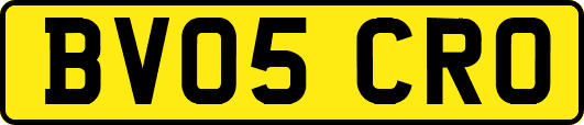 BV05CRO