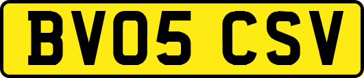 BV05CSV