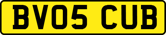 BV05CUB