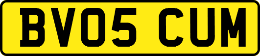 BV05CUM