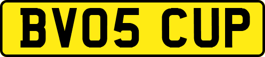 BV05CUP
