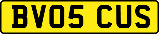 BV05CUS