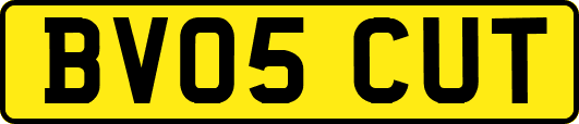 BV05CUT