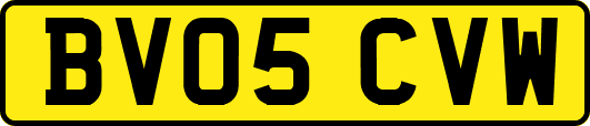 BV05CVW